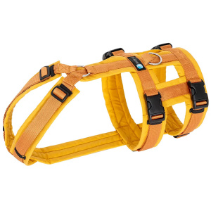 AnnyX Sicherheitsgeschirre Safety