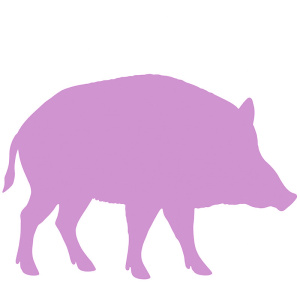 Wildschwein
