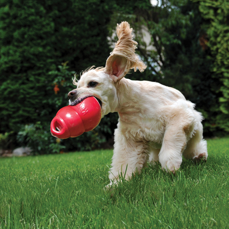 KONG  Bounzer L