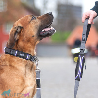 DOG Copenhagen Halsband Urban Explorer Collar Wild Rose pink