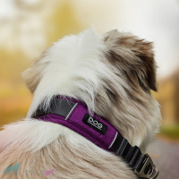 DOG Copenhagen Halsband Urban Explorer Collar Wild Rose pink