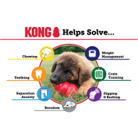 KONG Puppy für Welpen XS Hellblau