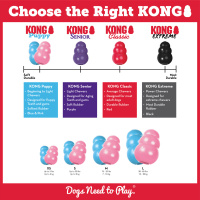 KONG Puppy für Welpen XS Hellblau