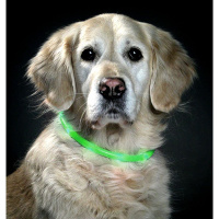 Karlie Visio light LED Leuchthalsband Schlauchhalsband in...