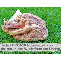Torgas&reg; Kauwurzel Kauholz