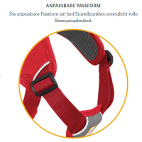 Ruffwear Web Master Sicherheitsgeschirr Red Currant / rot