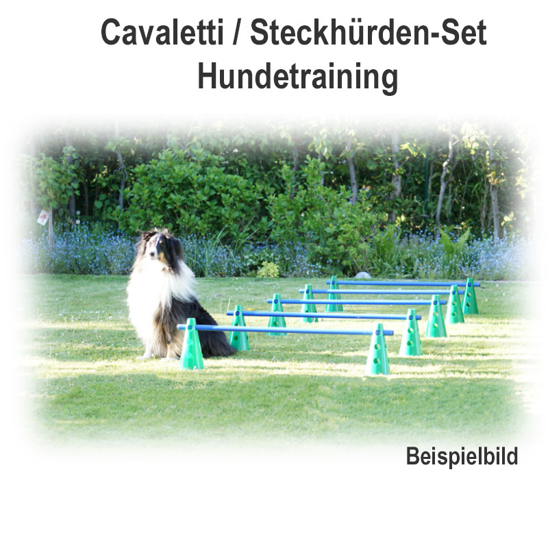 Steckhürden-Set Cavaletti gelb rot 100cm