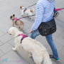 DOG Copenhagen Comfort Walk Pro Harness Classic Red