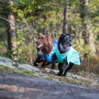 Pomppa Kevyt gefütterter Regenmantel KevytPomppa in plum 65