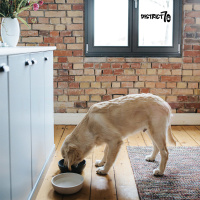 District 70 BAMBOO Hundenapf Futternapf Wassernapf eisblau L  D:21 cm (1600 ML)