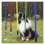 Slalom Stangen SET 100cm Cavaletti Hundesport Hundetraining agility flexibel div. Farben Stange rot 10 Slalomstangen