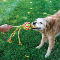 KONG Wubba Weaves mit Seil