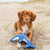 BecoPets Stofftier David der Delphin L