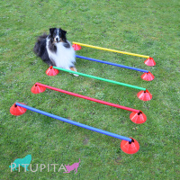 Hürden Set Cavaletti Agility Hundetraining 100cm GELB BLAU