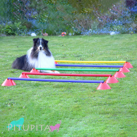 Hürden Set Cavaletti Agility Hundetraining 100cm WEIß BLAU