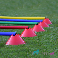 Hürden Set Cavaletti Agility Hundetraining 100cm WEIß GRÜN