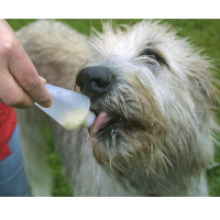Belohnungstuben Futtertuben Squeeze Tuben 2 Stück
