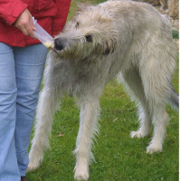 Belohnungstuben Futtertuben Squeeze Tuben 2 Stück