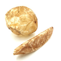 K&auml;lberblase Kalbsblase ganz f&uuml;r Hunde 22-35cm