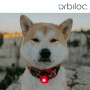 Orbiloc Safety Light helles Hundelicht Sicherheitslicht in rot