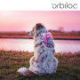 Orbiloc Safety Light helles Hundelicht Sicherheitslicht in pink