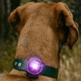 Orbiloc Safety Light helles Hundelicht Sicherheitslicht in lila violett purple