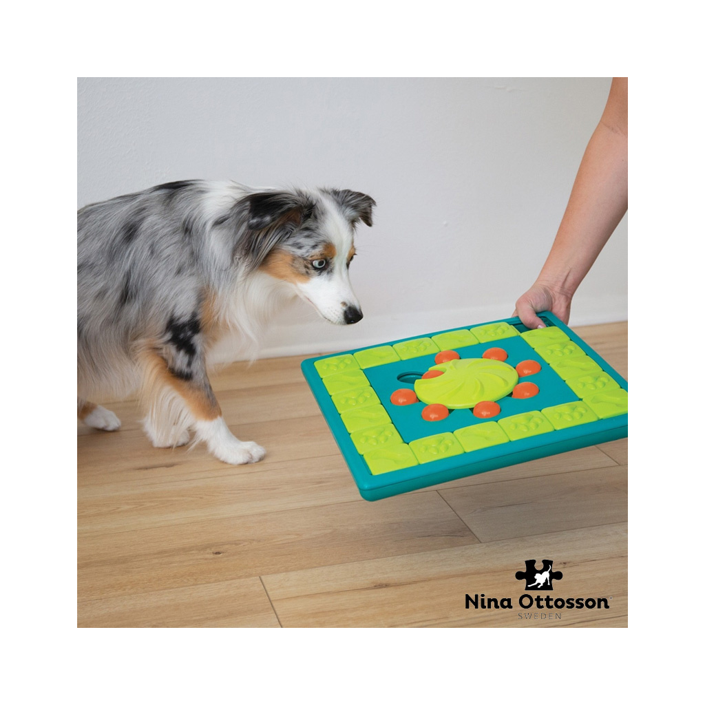 Nina Ottosson Dog MultiPuzzle, level 4 