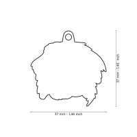 MyFamily Hundemarke Anhänger Berner Sennenhund mit...