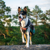 Pomppa Kevyt gefütterter Regenmantel KevytPomppa Muster Kartta 25