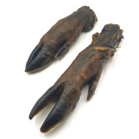 Wildschweinfu&szlig; Wildschweinunterbein f&uuml;r Hunde