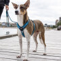 DOG Copenhagen Walk Harness AIR Geschirr braun Mocca V2
