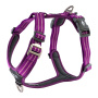DOG Copenhagen Walk Harness AIR Geschirr lila violett Purple Passion V2