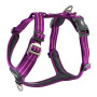 DOG Copenhagen Walk Harness Air Geschirr lila violett Purple Passion V2 XL