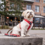 DOG Copenhagen Walk Harness AIR Geschirr grün Hunting Green V2