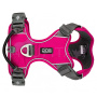DOG Copenhagen Comfort Walk Pro V2 Geschirr pink Wild Rose XL