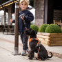 DOG Copenhagen Comfort Walk Pro V2 Geschirr braun Mocca XS