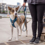 DOG Copenhagen Comfort Walk Pro V2 Geschirr blau Ocean Blue S