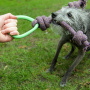 Beco Pets Zerring Ring mit Wurfseil blau L