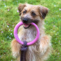Beco Pets Zerring Ring mit Wurfseil pink S