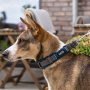 DOG Copenhagen Halsband Urban Explorer V2 mocca braun XS