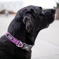 DOG Copenhagen Halsband Urban Style V2 Purple Passion lila violett L