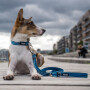 Dog Copenhagen Leine Führleine Urban Freestyle V2 Ocean Blue blau S