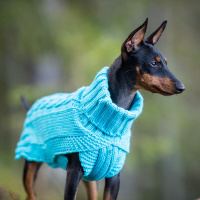 Rukka Pets Strickpullover WOOLY blau hellblau L