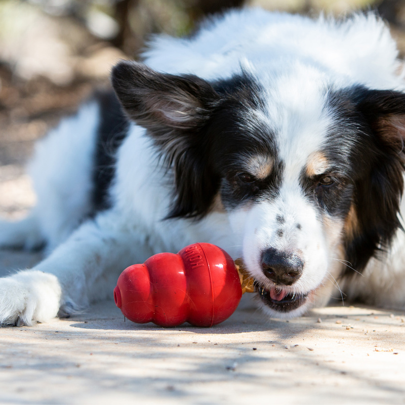 KONG Snacks Hundesnack Lebergeschmack