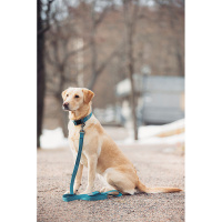 Rukka Pets True Eco Halsband türkis petrol