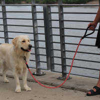 KONG Leine Führleine Rope rund reflektierend schwarz...