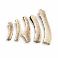 PITUPITA Hirschgeweih Snack Zahnpflege vom Rothirsch HALB M