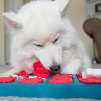 Nina Ottosson Dog Brick Bausteine Intelligenzspielzeug LEVEL 2