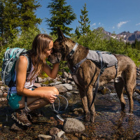 Ruffwear Switchbak Geschirr Sicherheitsgeschirr Granite Gray grau L/XL