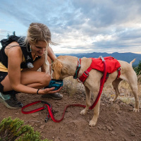 Ruffwear Switchbak Geschirr Sicherheitsgeschirr Red Sumac rot